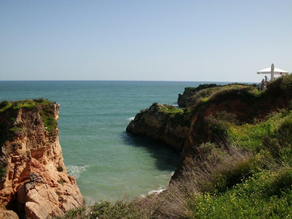 Moradia Perto Dos Palmares Villa Lagos Luaran gambar